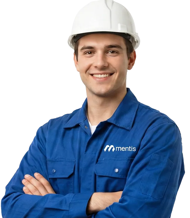 Mentis Career